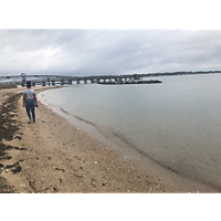 King tide Yorktown image
